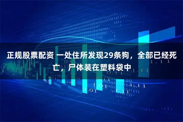 正规股票配资 一处住所发现29条狗，全部已经死亡，尸体装在塑料袋中