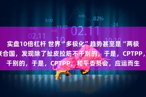 实盘10倍杠杆 世界“多极化”趋势甚至是“两极化”趋势越来越明显，联合国，发现除了扯皮拉筋不干别的，于是，CPTPP，和平委员会，应运而生